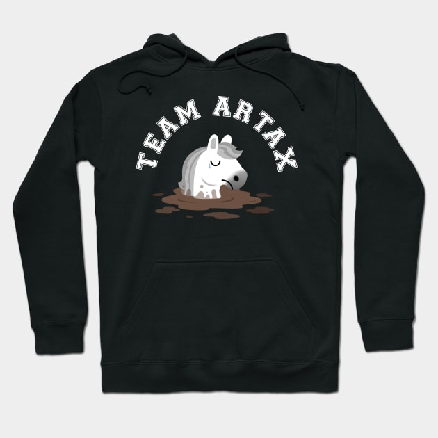 Team Artax Hoodie by NinthStreetShirts